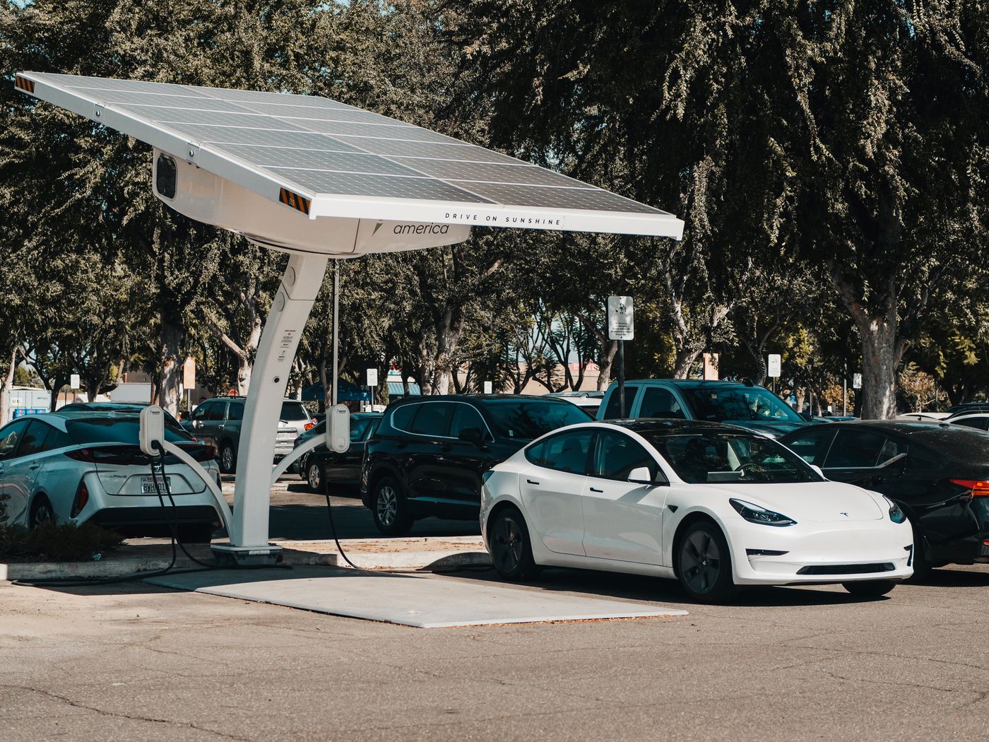 Electric vehicles charging under a solar canopy