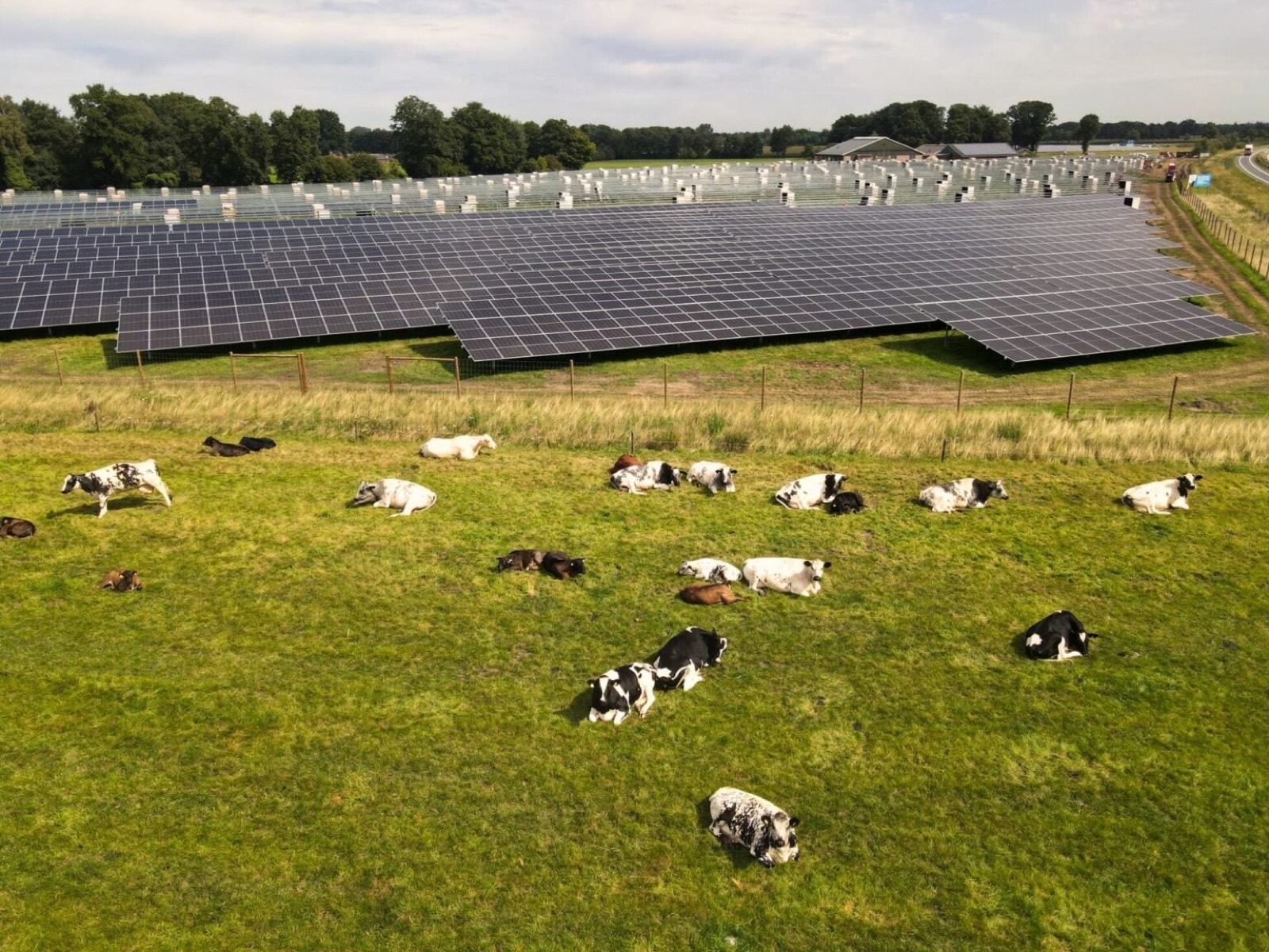 Solar Parks N18 ground-mount solar farms in Haaksbergen